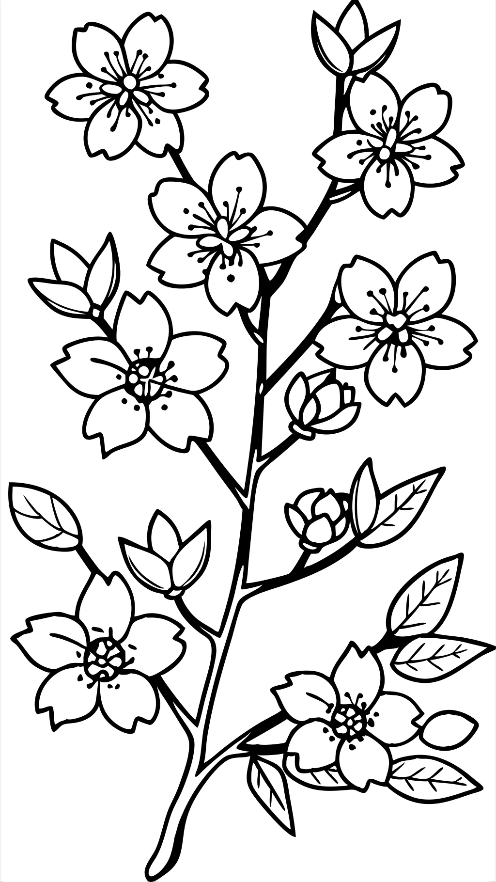 coloriages de fleur de cerisier